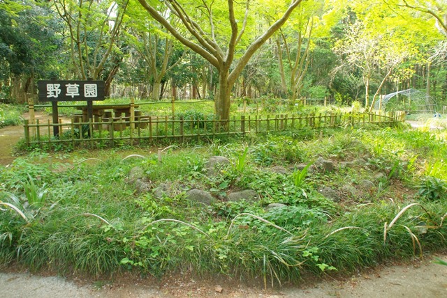 野草園